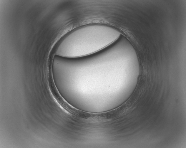 X0000078830630200611130933