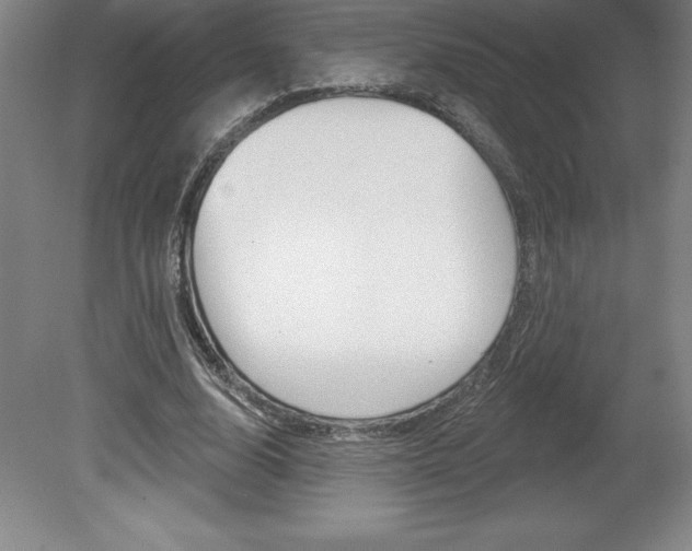 X0000078830632200611130933