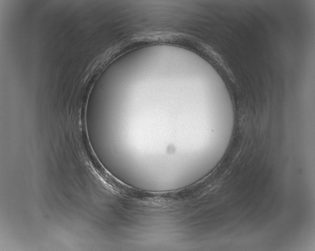 X0000078830633200611130933