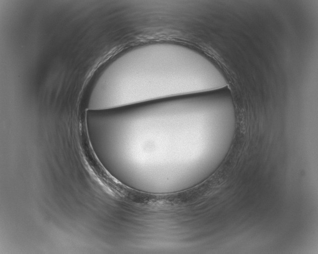 X0000078830634200611130933