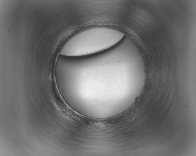 X0000078830635200611130933