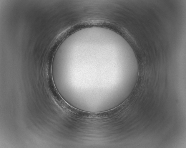 X0000078830640200611130933