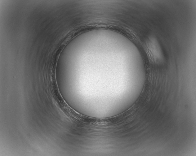 X0000078830643200611130933