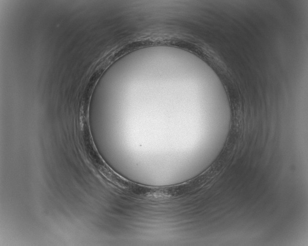 X0000078830644200611130933