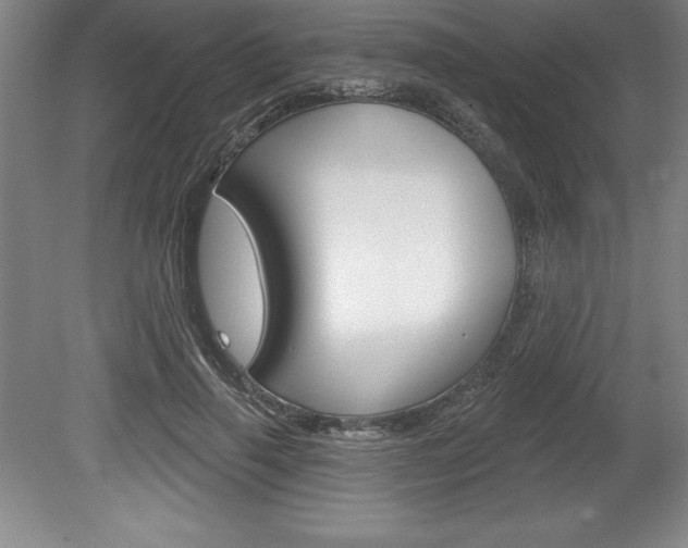 X0000078830645200611130933