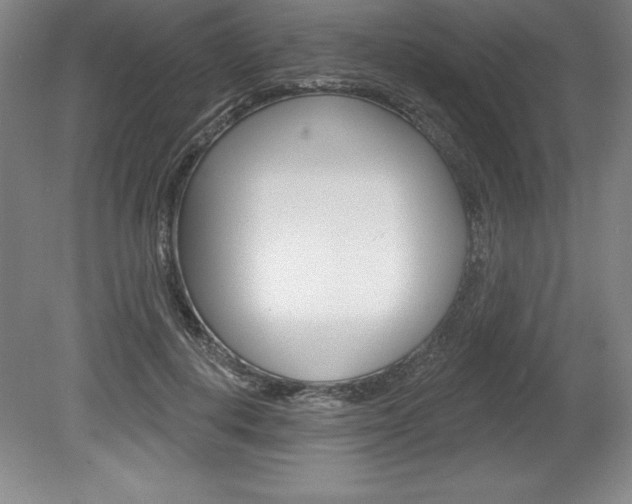X0000078830648200611130933
