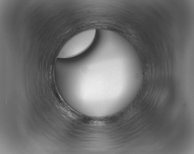 X0000078830649200611130933