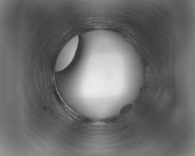 X0000078830650200611130933