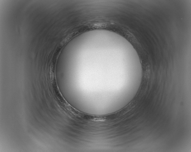 X0000078830651200611130933