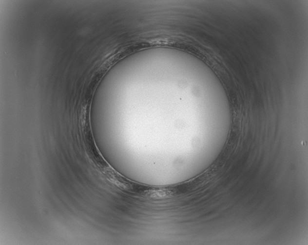 X0000078830652200611130933