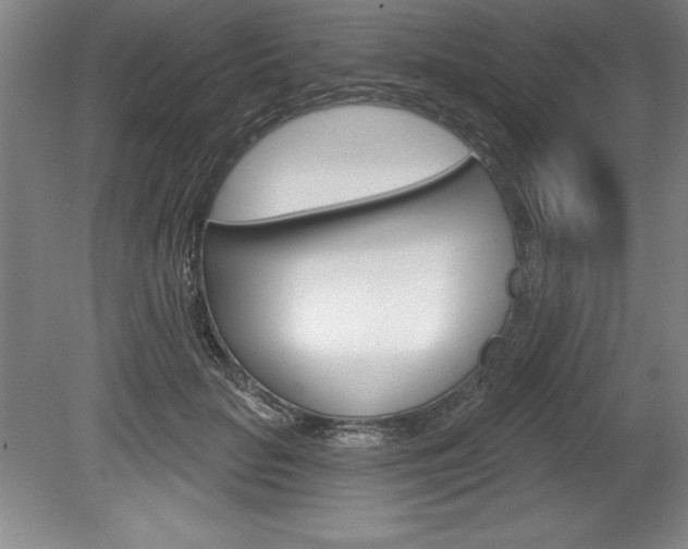 X0000078830653200611130933