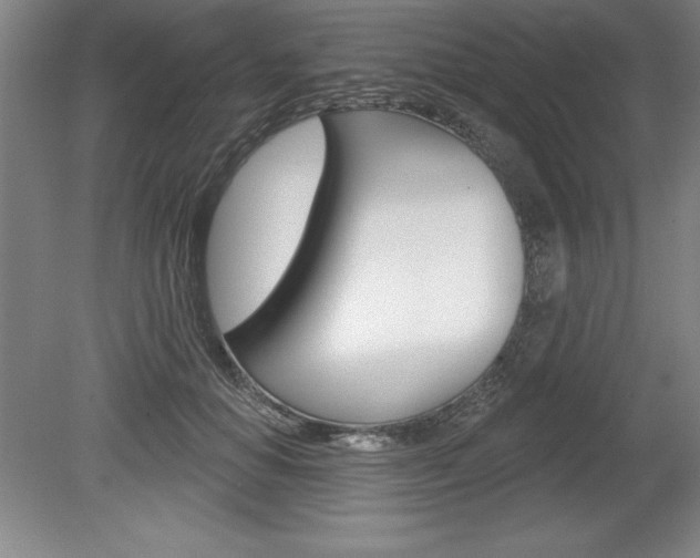 X0000078830654200611130933