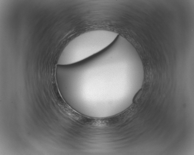 X0000078830656200611130933