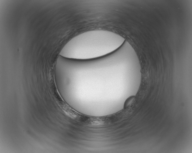 X0000078830658200611130933