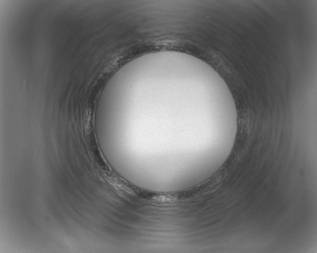 X0000078830660200611130933