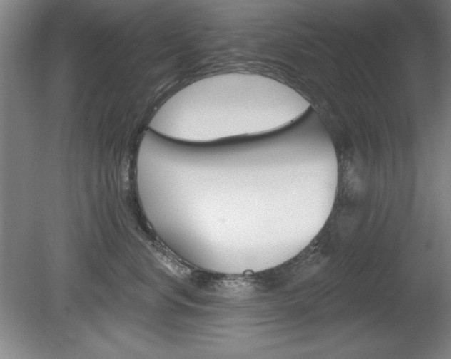 X0000078830668200611130933