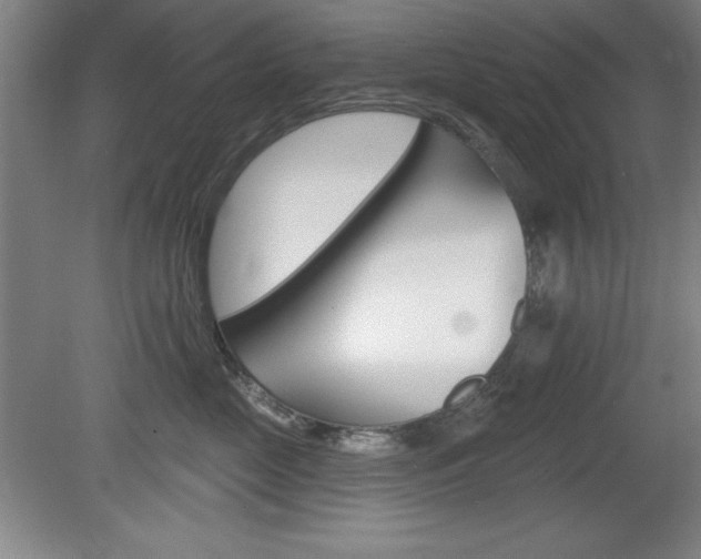 X0000078830669200611130933