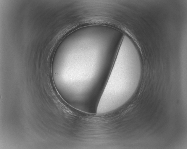 X0000078830673200611130932