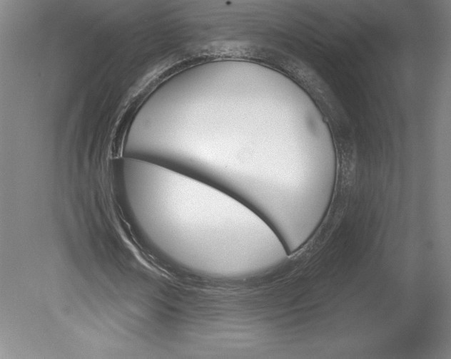 X0000078830674200611130932