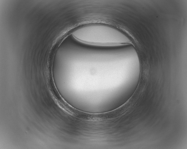 X0000078830677200611130932