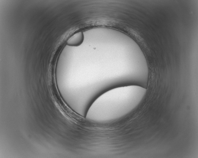 X0000078830678200611130932