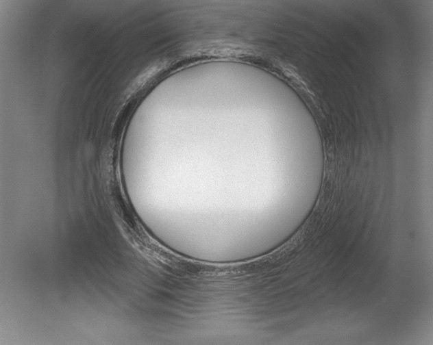 X0000078830679200611130932
