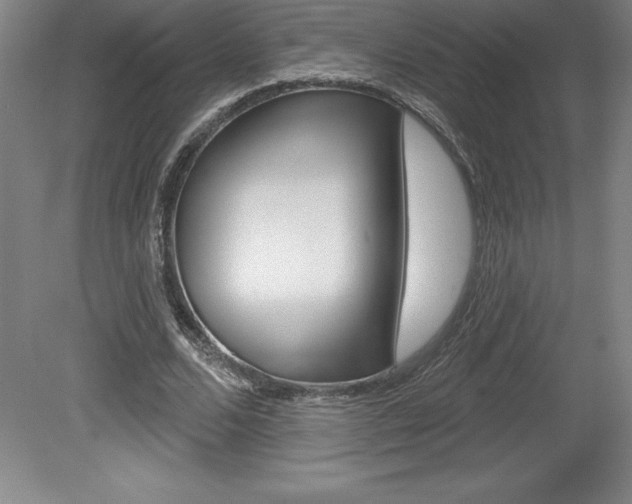 X0000078830680200611130932