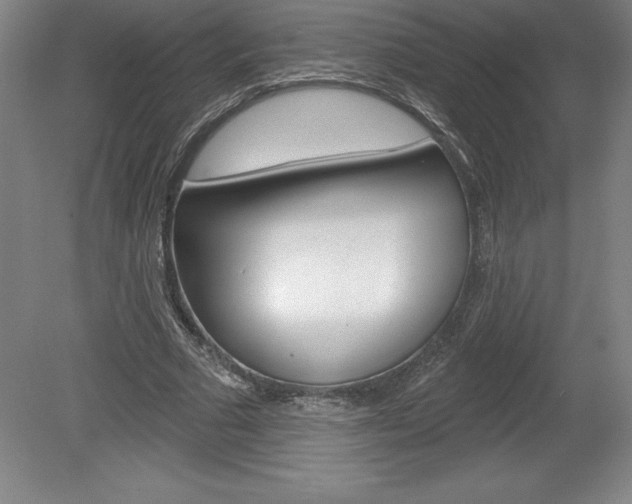 X0000078830681200611130932