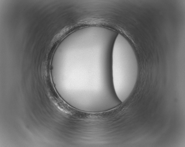 X0000078830682200611130932