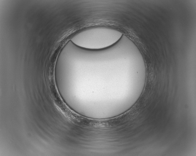 X0000078830683200611130932
