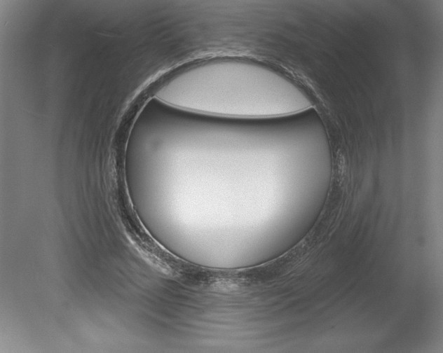 X0000078830684200611130932