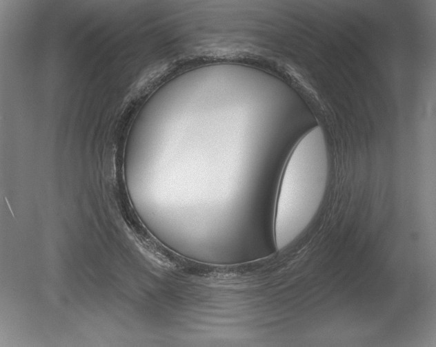 X0000078830685200611130932