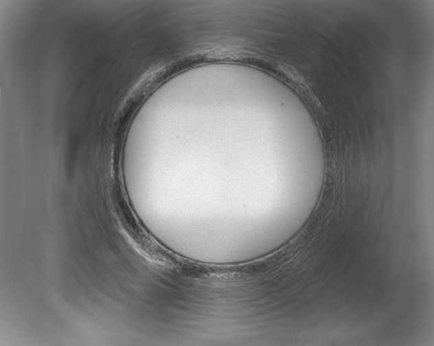 X0000078830686200611130932