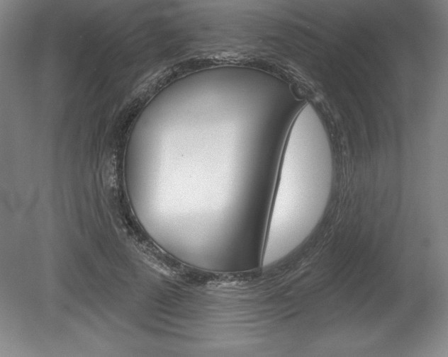 X0000078830689200611130932