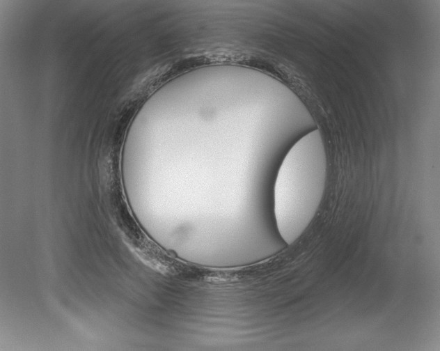 X0000078830690200611130932