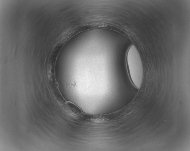 X0000078830693200611130932