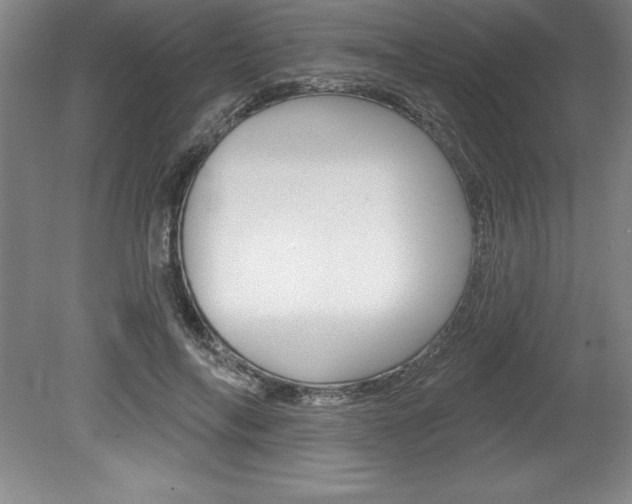 X0000078830694200611130932