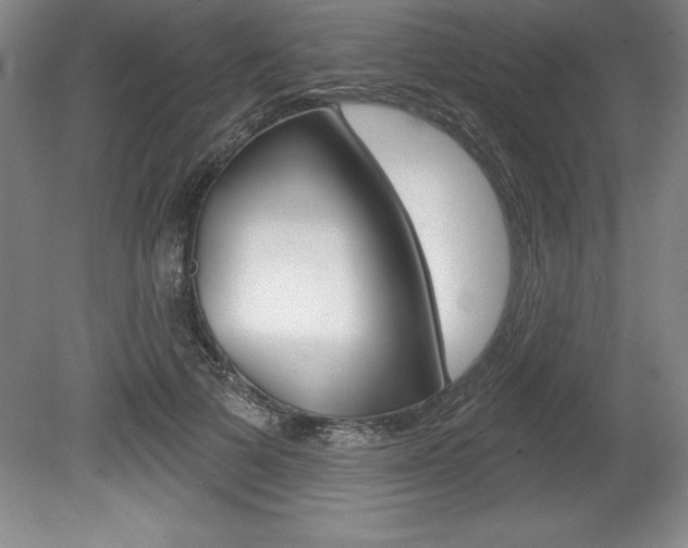 X0000078830697200611130932