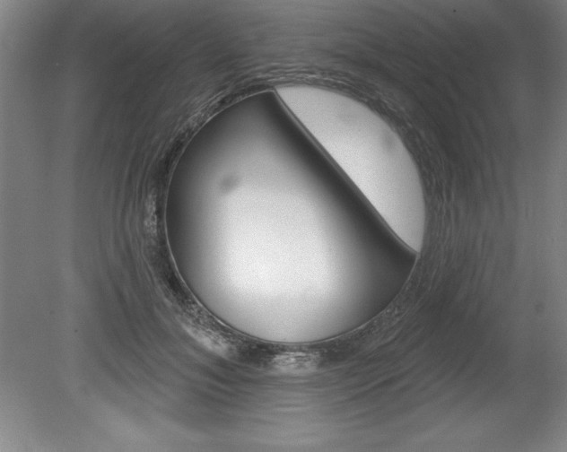 X0000078830700200611130932