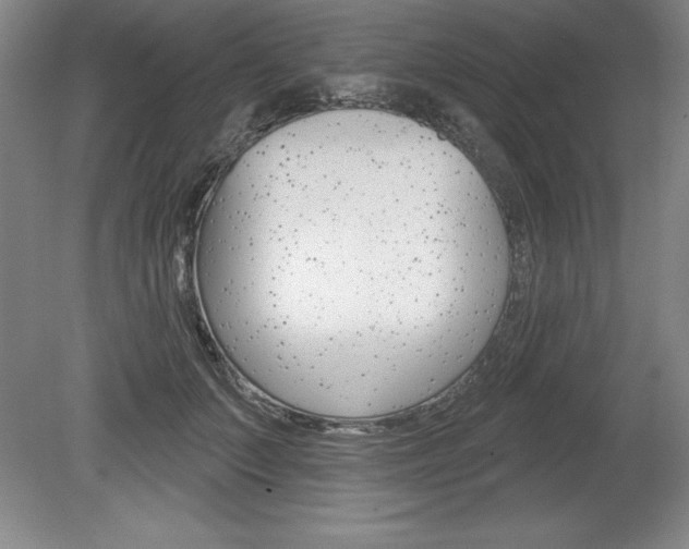 X0000078830703200611130932