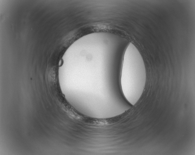 X0000078830715200611130932