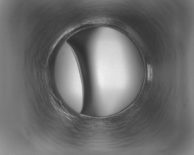 X0000078830723200611130931