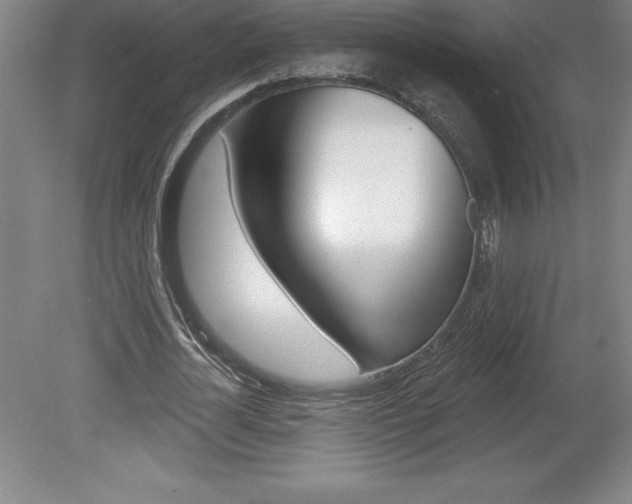 X0000078830724200611130931