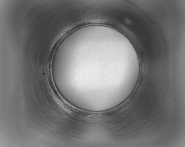 X0000078830725200611130931