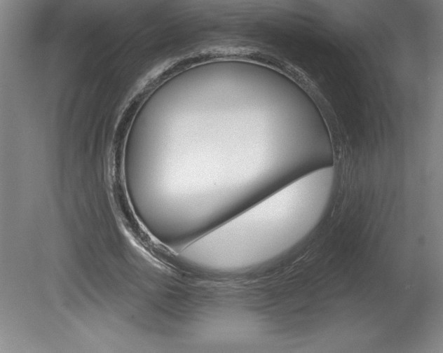 X0000078830726200611130931