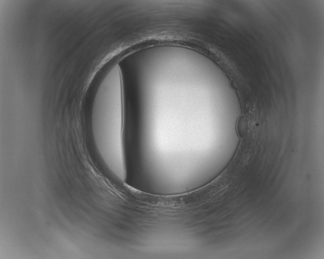 X0000078830727200611130931