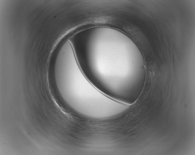 X0000078830728200611130931