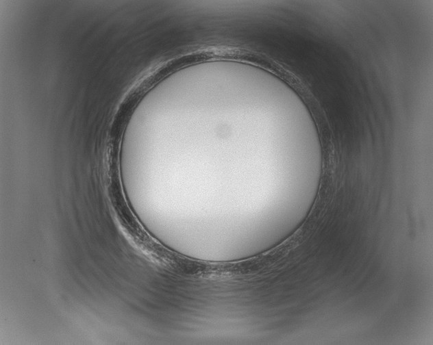 X0000078830730200611130931