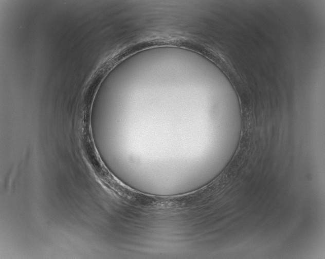 X0000078830736200611130931