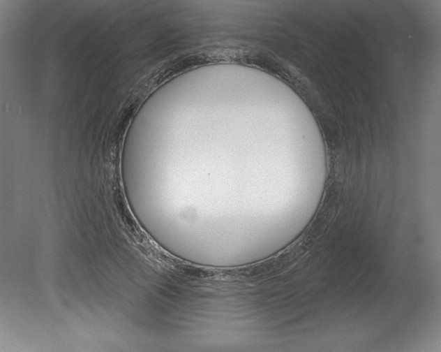 X0000078830737200611130931
